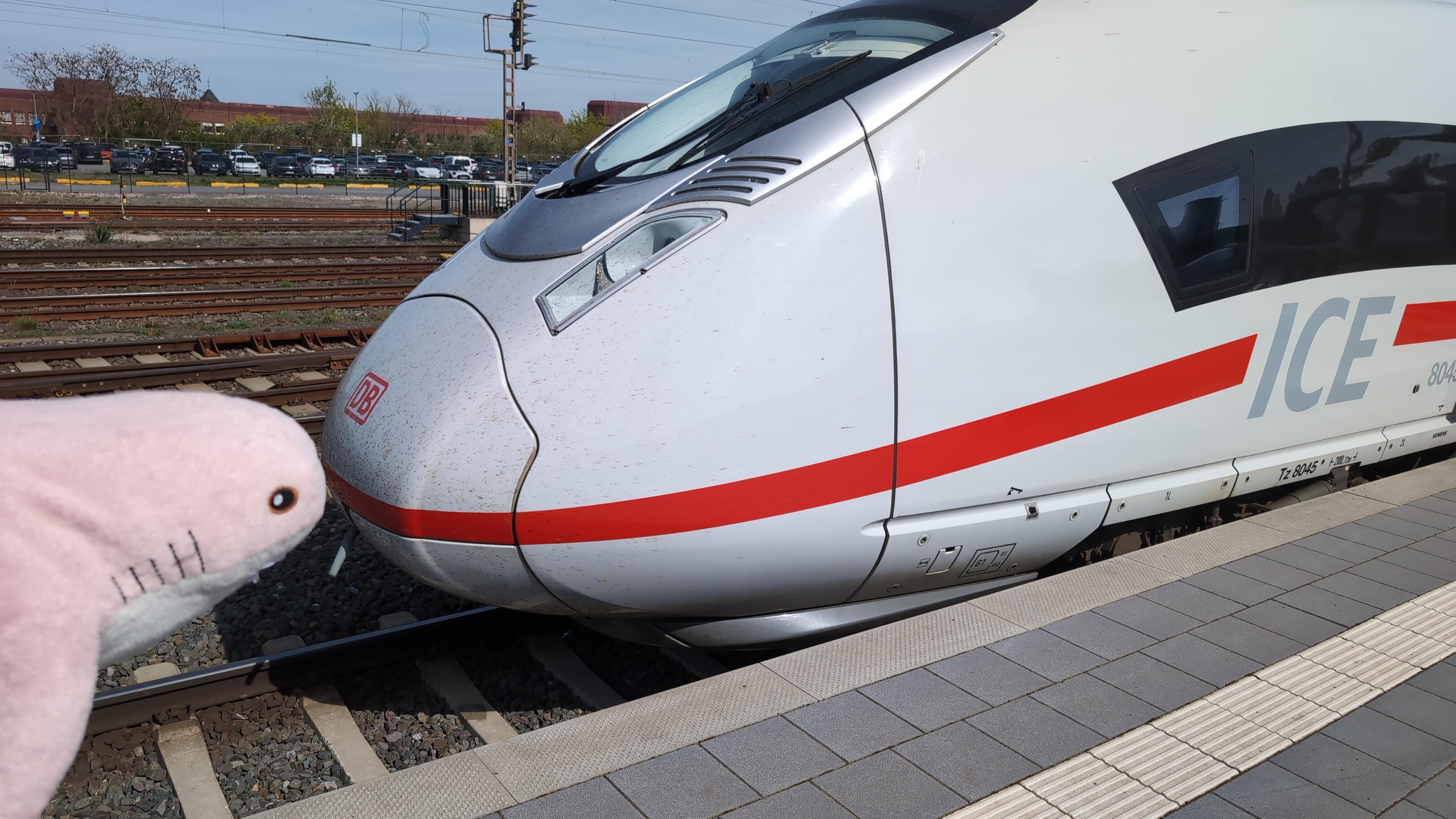 Rosåhaj booping an ICE 3neo.